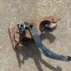 1983-1993 Ford Mustang Manual Clutch & Brake Pedal Assembly 5 speed T-5 Cobra GT