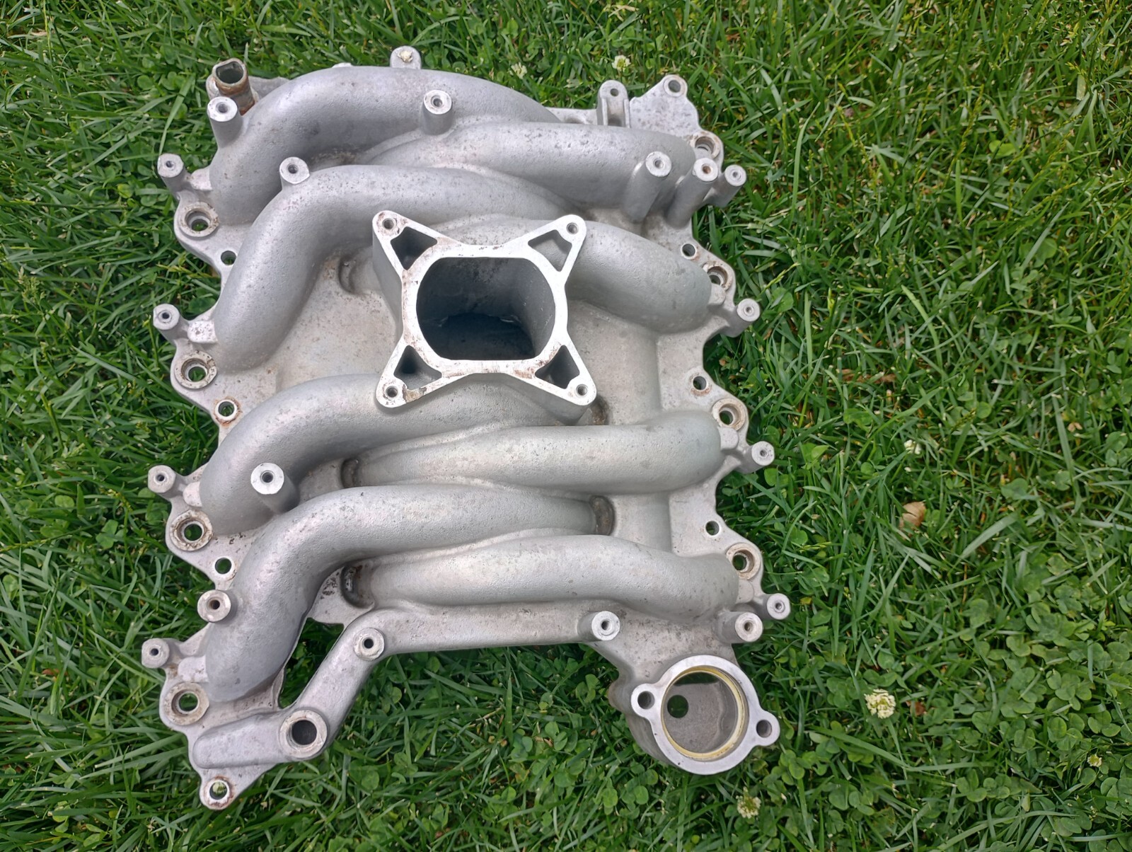 1999-2004 Ford Mustang 4.6L Professional Products Intake Manifold 2V GT Typhoon - Image 7