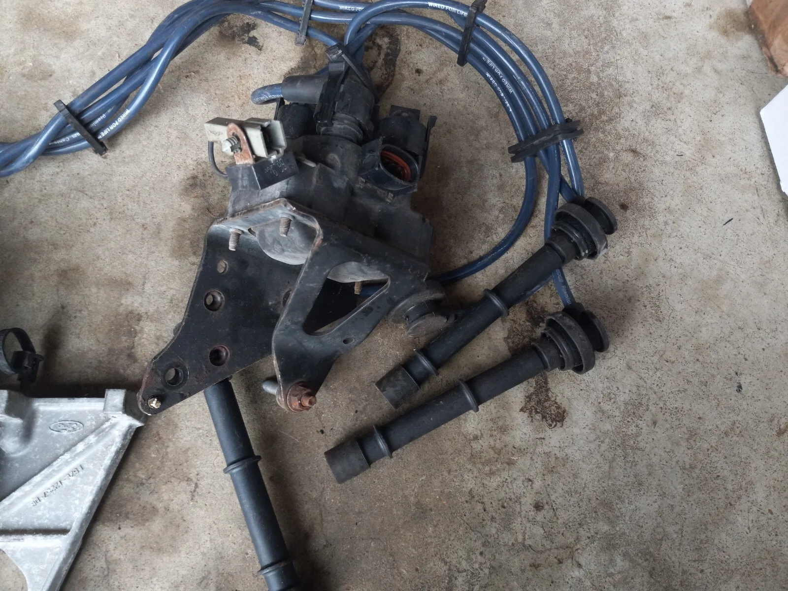 1996-1998 Ford Mustang Cobra 4.6L Spark Plug Wires & Coil Pack SVT 32V 98 97 96 - Image 2