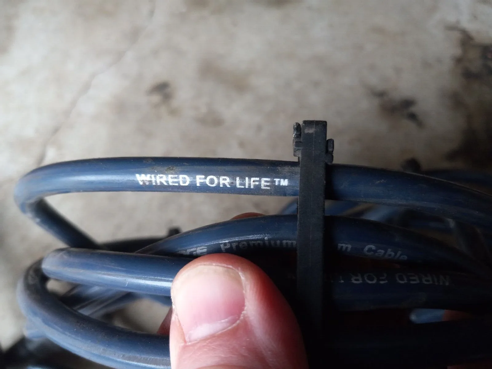 1996-1998 Ford Mustang Cobra 4.6L Spark Plug Wires & Coil Pack SVT 32V 98 97 96 - Image 4