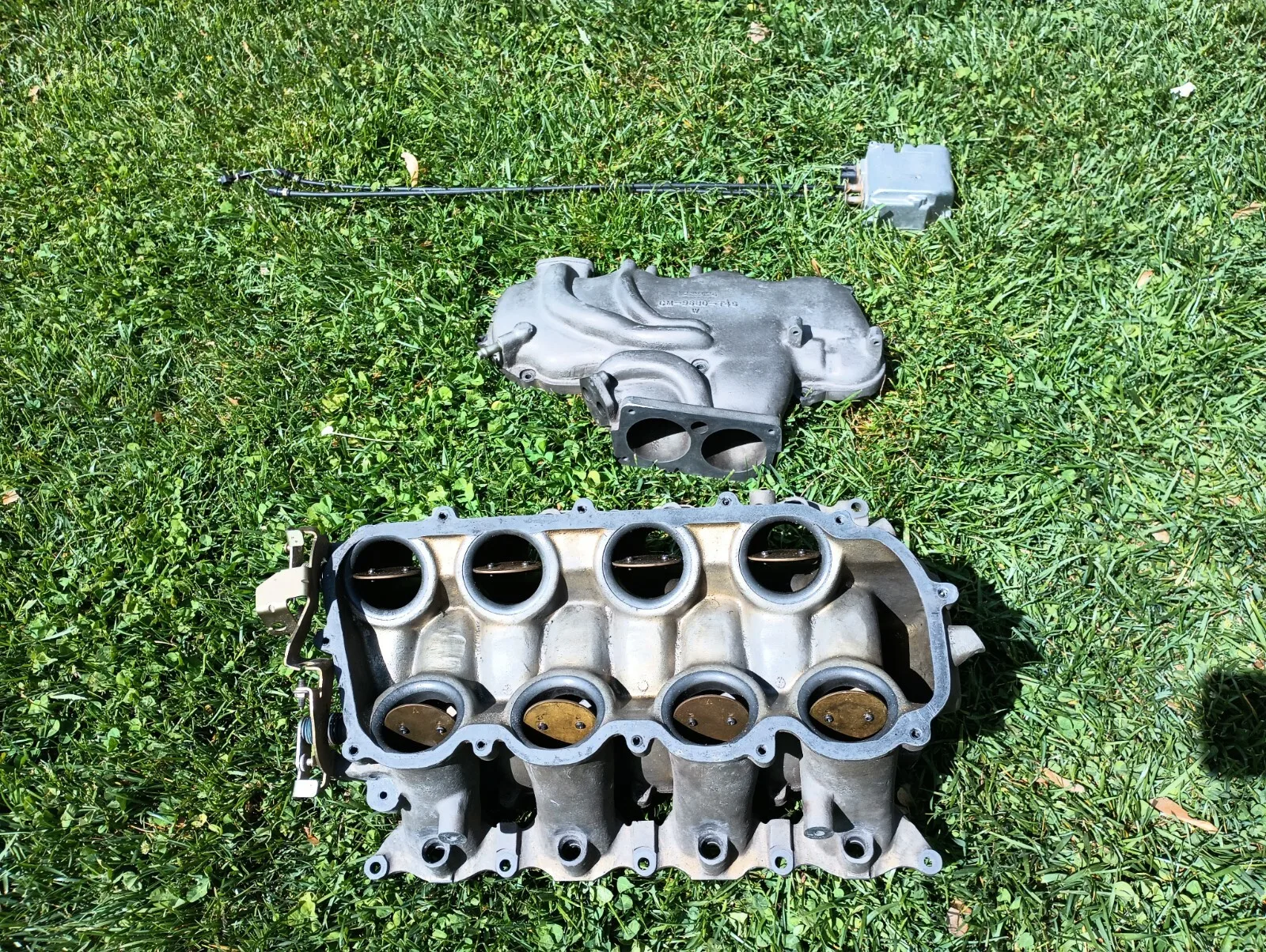 1999-2004 Mustang Ford Racing FR500 Intake Manifold 4.6L 32V 4V Mach1 SVT Cobra - Image 4