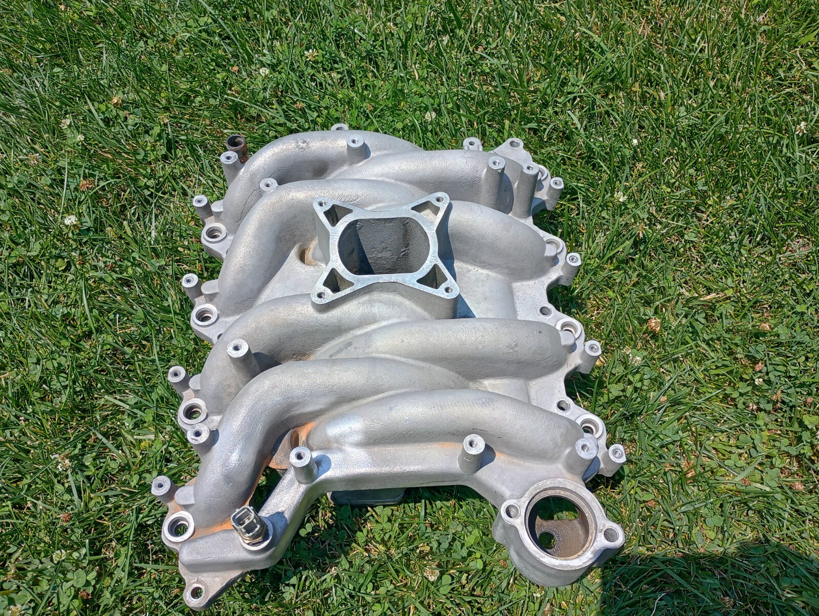 1999-2004 Ford Mustang 4.6L Professional Products Intake Manifold 2V GT Typhoon