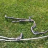 2003-2004 Ford MUSTANG 4.6L SVT COBRA INTERCOOLER LINES Setup 32V 4V