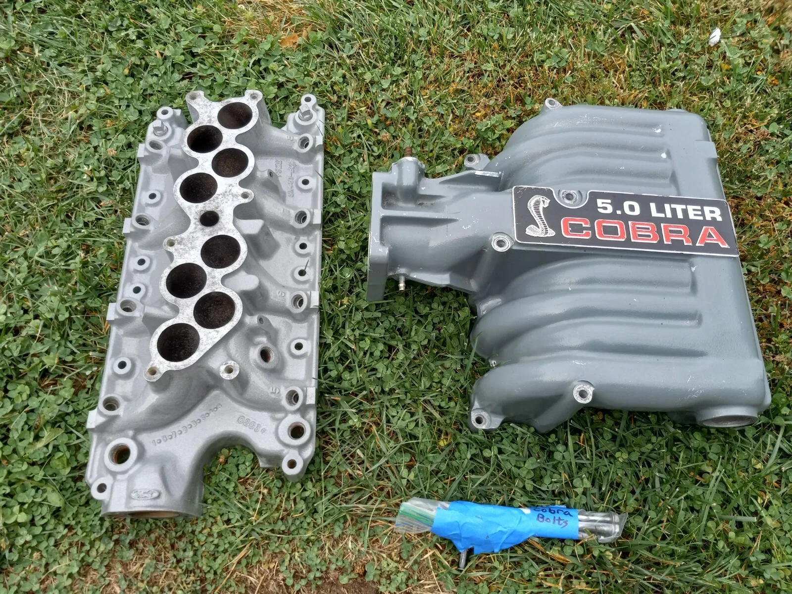 1986-1993 Ford Mustang 5.0L (OEM) Cobra Intake Manifold GT40 302 SVT EFI GT LX