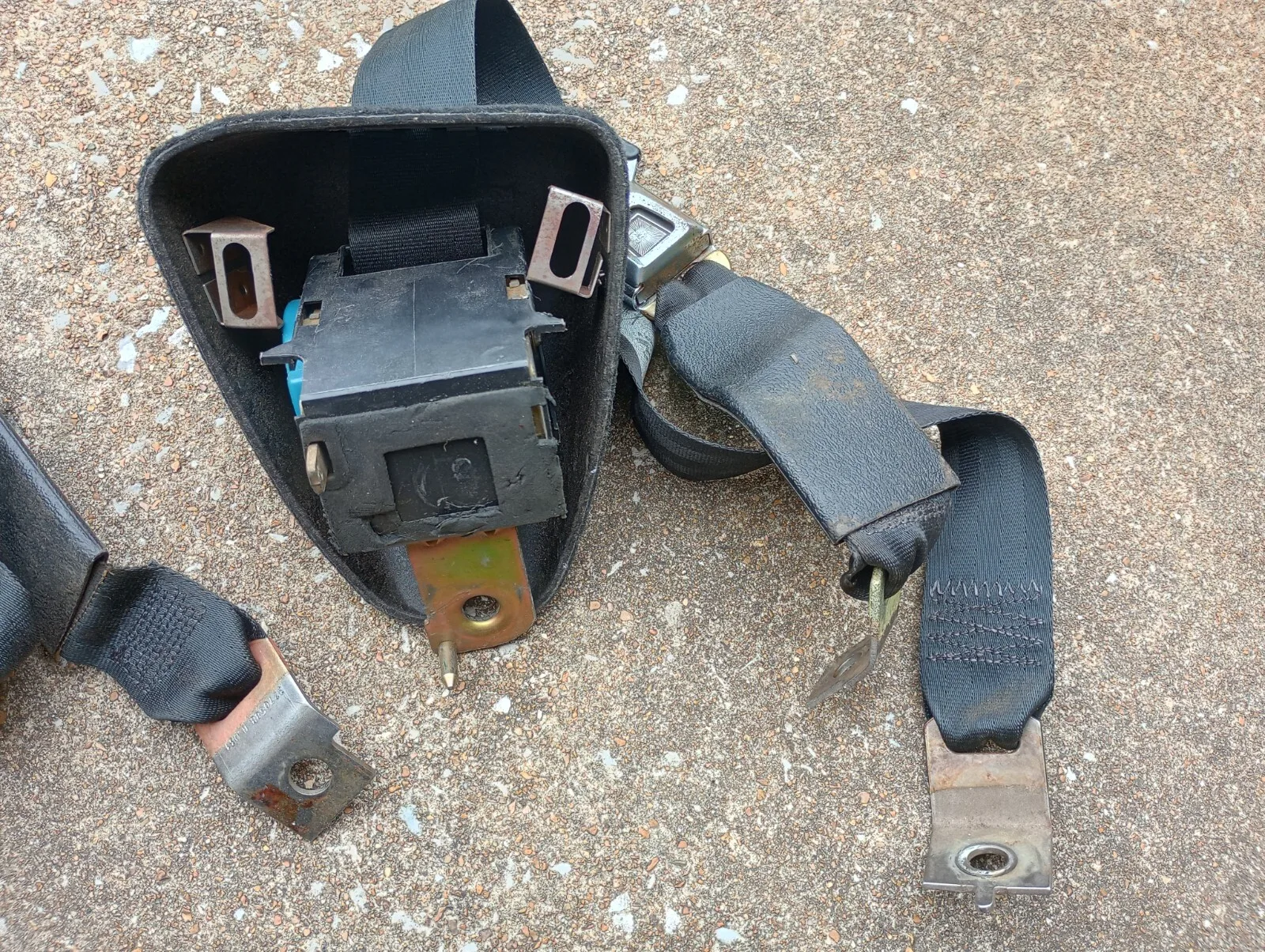 1990-1993 Ford Mustang BLACK OEM Seat belts LX Coupe Notchback Upper Rear ONLY - Image 8