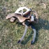 1983-1993 Ford Mustang Manual Clutch & Brake Pedal Assembly 5 speed T-5 Cobra GT