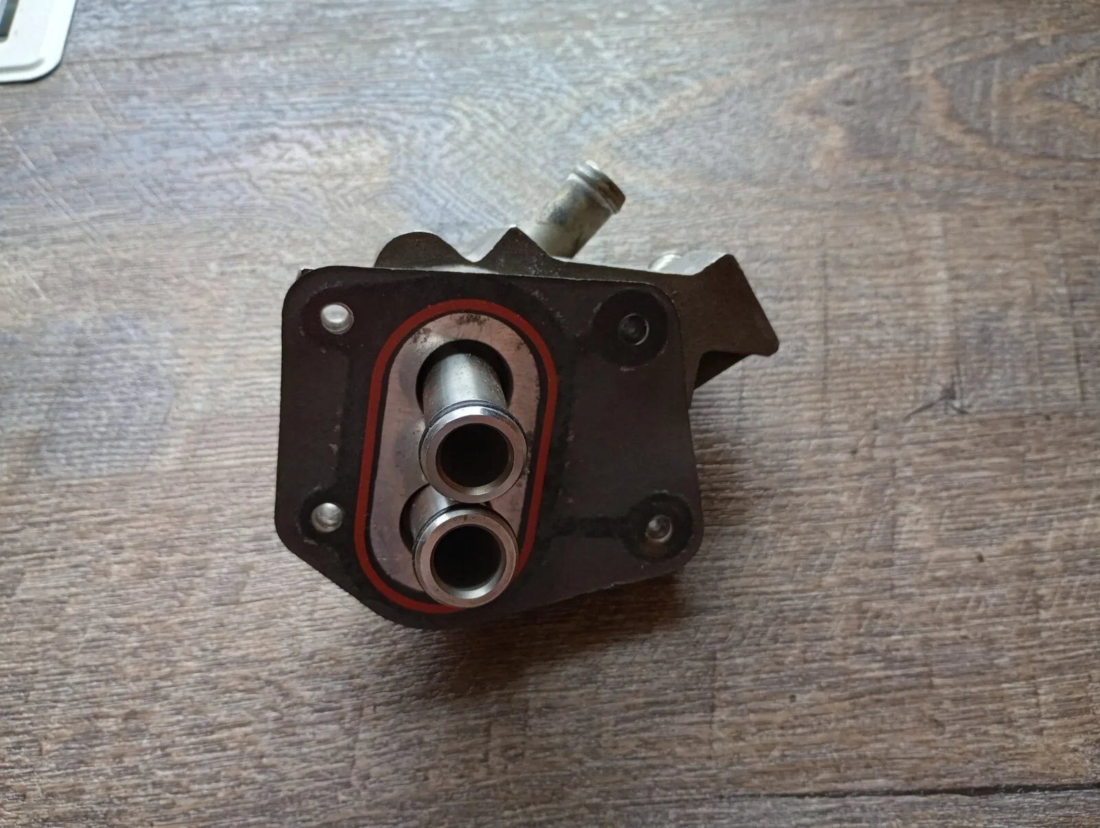 2003 2004 03-04 Ford Mustang SVT Cobra 4.6 Supercharger Intercooler Adapter 32V - Image 2