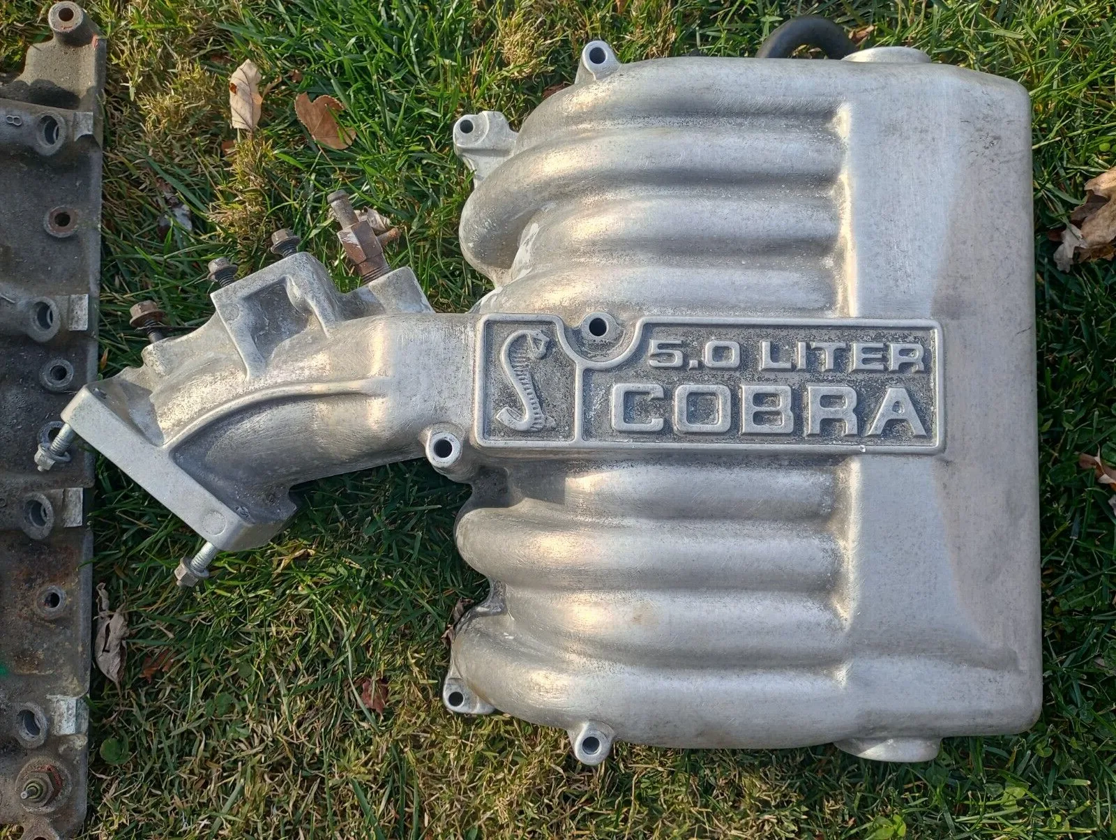 1994-1995 Ford Mustang 5.0L Cobra Intake Manifold GT40 302 SVT EFI GT - Image 2