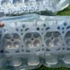2003-2004 Ford Mustang Cobra Cylinder Heads 32V 4V 4.6L SVT  03 04 Mach 1 DB