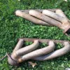 1986-1993 Ford Mustang 5.0L Ford Motorsport Headers Cobra GT40 302 V8