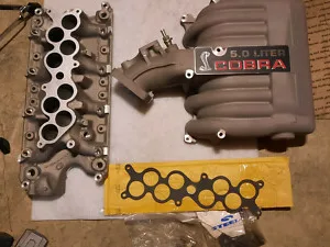 1994-1995 Ford Mustang 5.0L Cobra Intake Manifold GT40 302 SVT EFI SN95 OEM