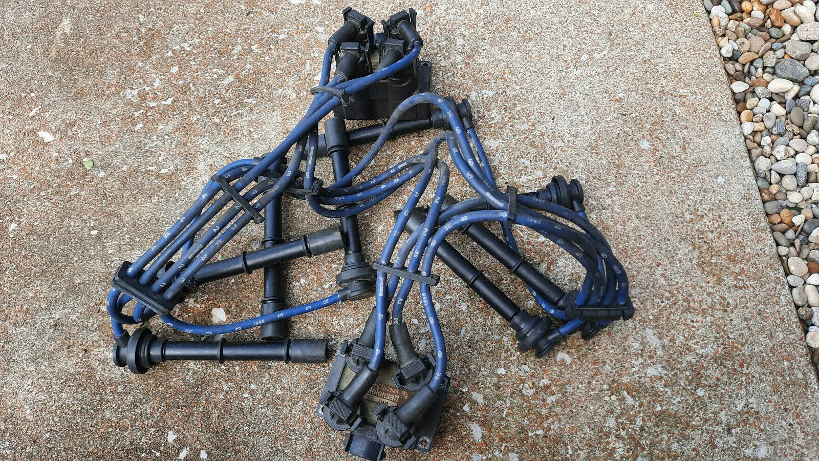 1996-1998 Ford Mustang Cobra 4.6L Spark Plug Wires & Coil Pack SVT 32V 98 97 96 - Image 4