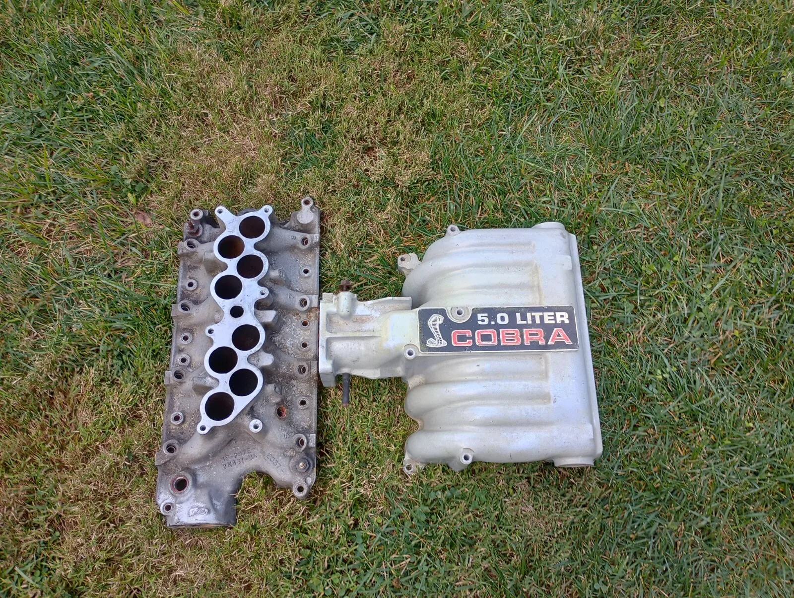 1986-1993 Ford Mustang 5.0L Cobra Intake Manifold GT40 302 SVT EFI GT LX