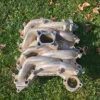 1999-2004 Ford Mustang 4.6L Professional Products Intake Manifold 2V GT Typhoon