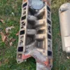 1986-1995 Ford Mustang 5.0L Trickflow Streetburner Intake Manifold GT40 Cobra LX
