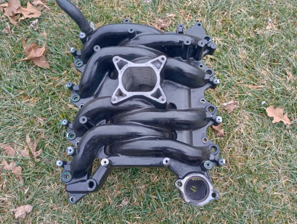 1999-2004 Ford Mustang 4.6L Professional Products Intake Manifold 2V GT Typhoon