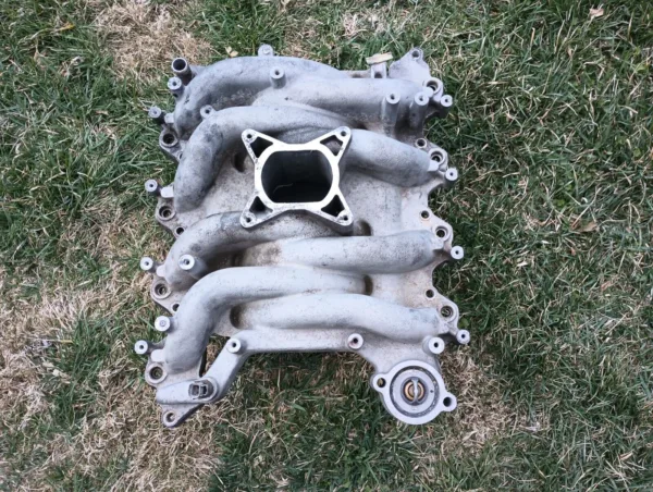 1999-2004 Ford Mustang 4.6L Professional Products Intake Manifold 2V GT Typhoon