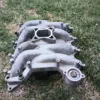 1999-2004 Ford Mustang 4.6L Professional Products Intake Manifold 2V GT Typhoon