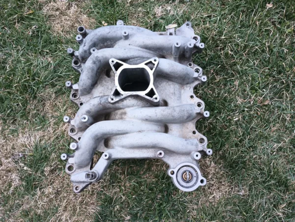 1999-2004 Ford Mustang 4.6L Professional Products Intake Manifold 2V GT Typhoon
