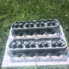 1987-1995 Ford Mustang 5.0L Trickflow Aluminum Cylinder Heads COBRA 302 GT40 351 - Image 5