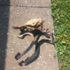 1983-1993 Ford Mustang Manual Clutch & Brake Pedal Assembly 5 speed T-5 Cobra GT - Image 2