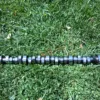 1986-1995 Ford Mustang 5.0L Ford Racing "B303" Camshaft GT40 Cobra 302 EFI GT LX