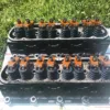 1987-1995 Ford Mustang 5.0L Roush Windsor Sr (iron) Cylinder Heads COBRA GT LX - Image 4