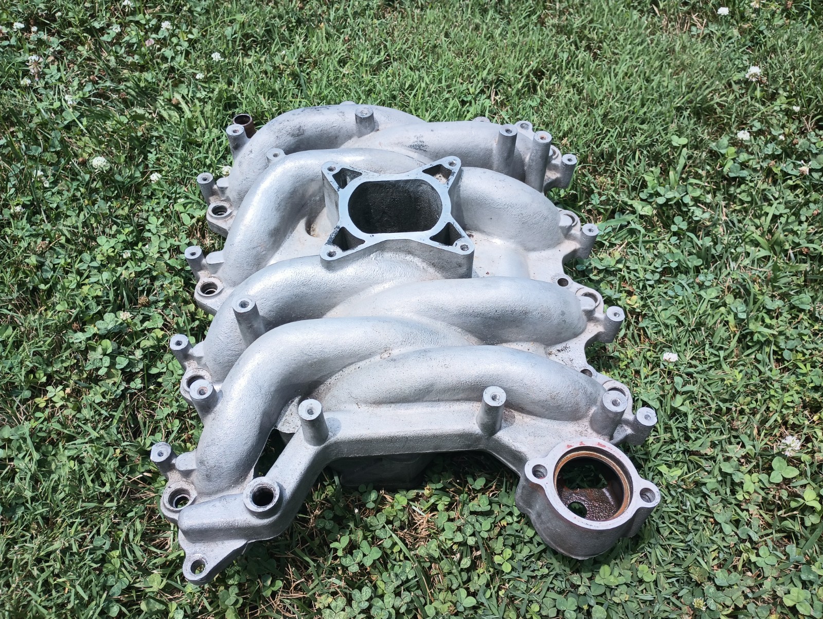 1999-2004 Ford Mustang 4.6L Professional Products Intake Manifold 2V GT Typhoon