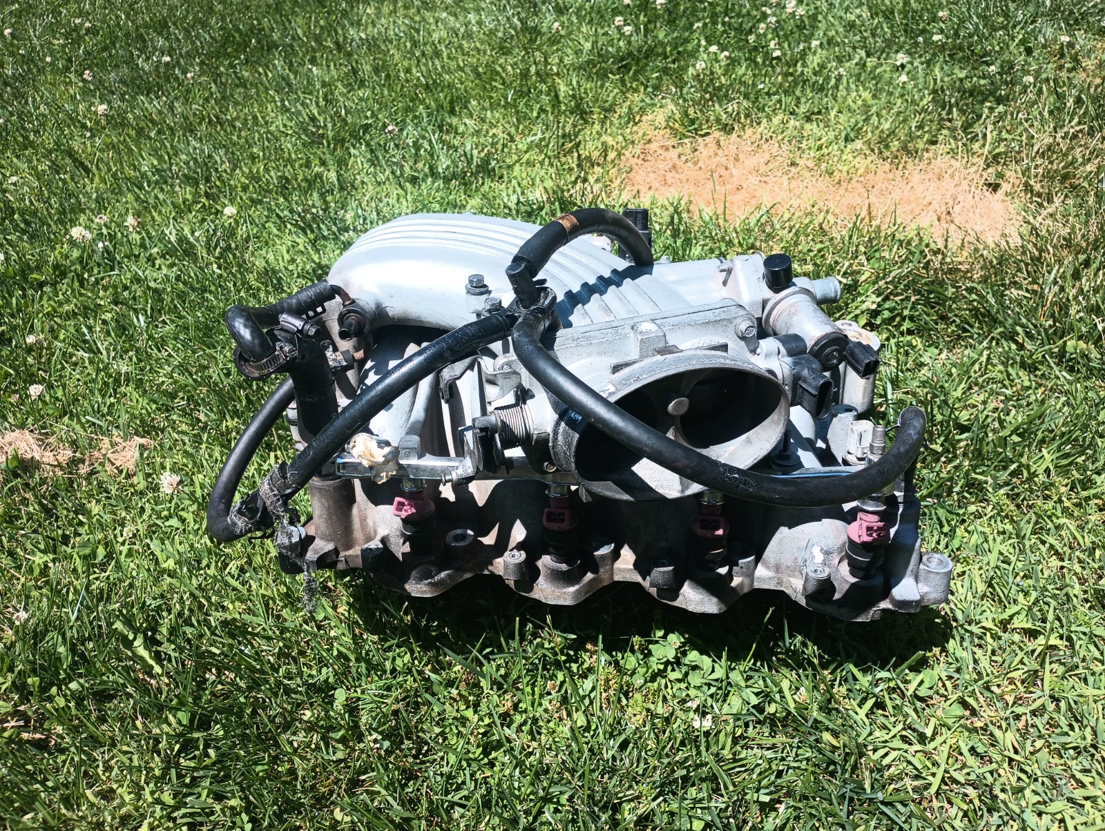 1999-2004 Ford Mustang 4.6L OEM Bullitt Intake Manifold 2V GT SVT Cobra - Image 2