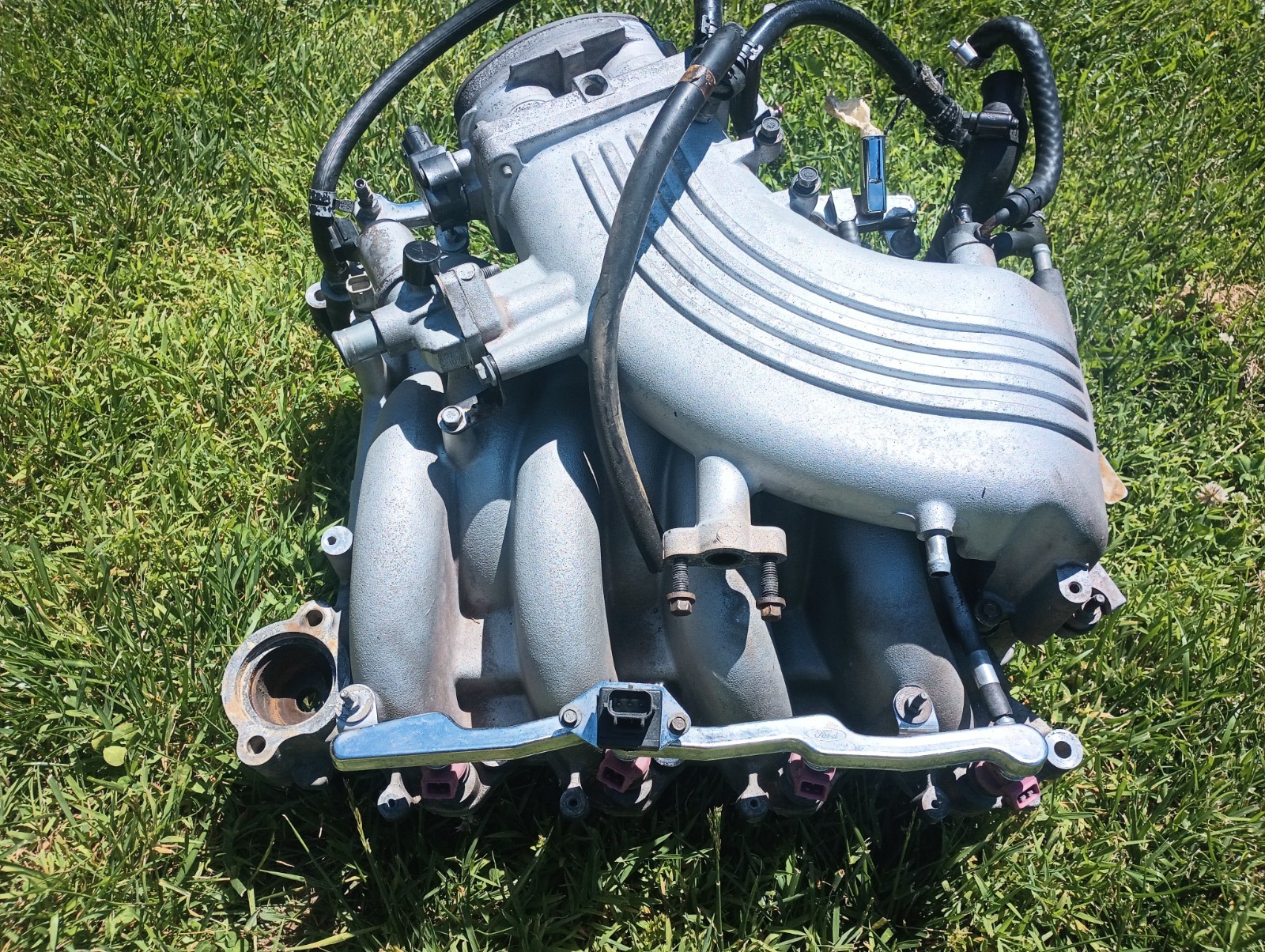 1999-2004 Ford Mustang 4.6L OEM Bullitt Intake Manifold 2V GT SVT Cobra - Image 3