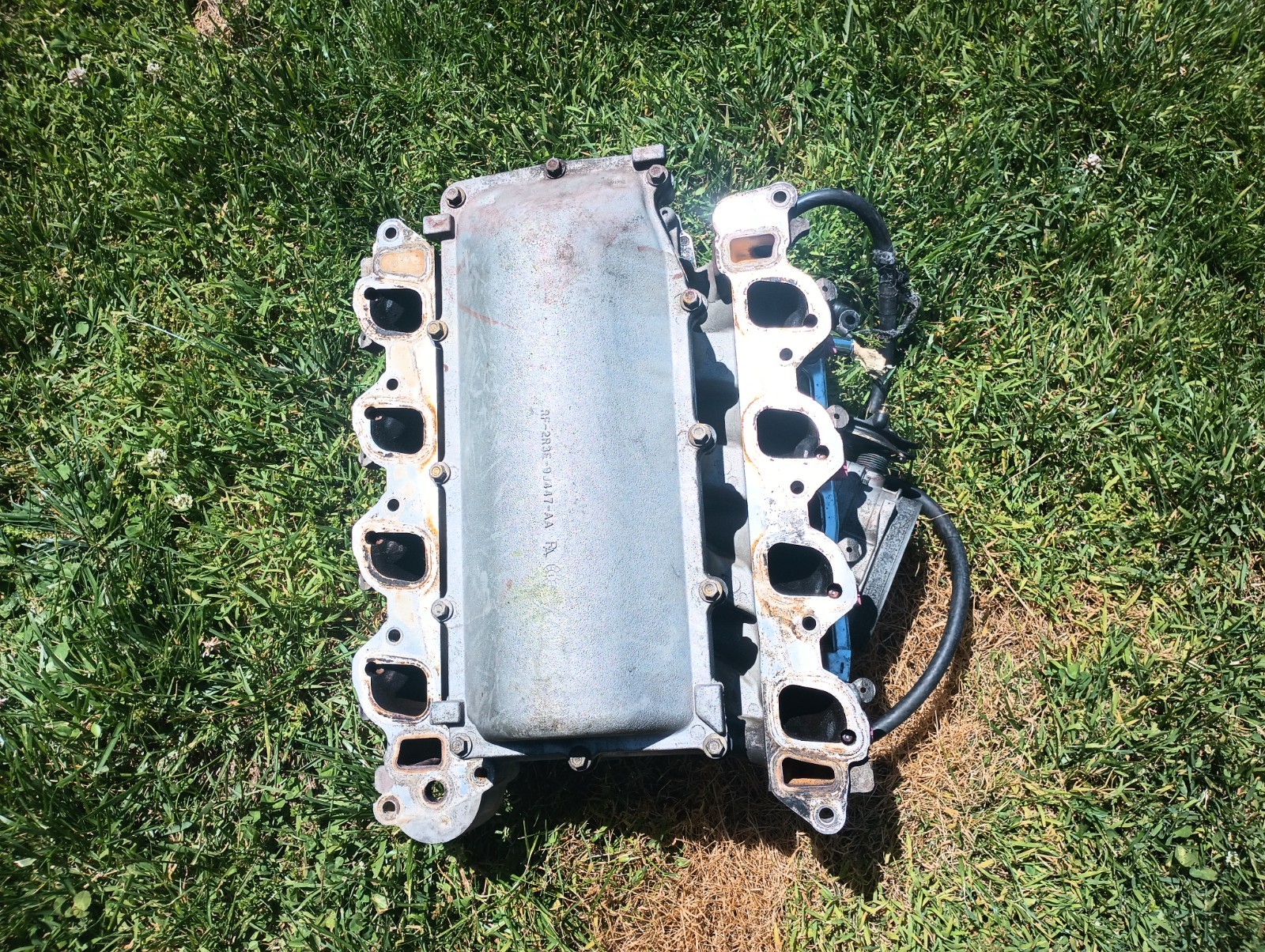 1999-2004 Ford Mustang 4.6L OEM Bullitt Intake Manifold 2V GT SVT Cobra - Image 9