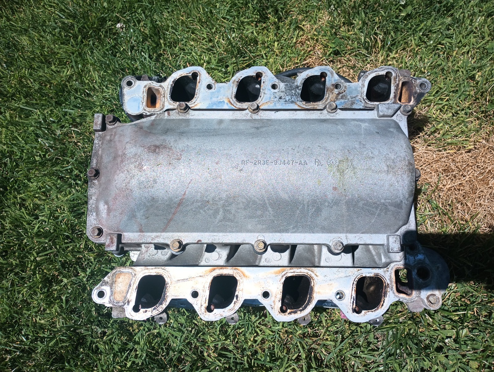 1999-2004 Ford Mustang 4.6L OEM Bullitt Intake Manifold 2V GT SVT Cobra - Image 10