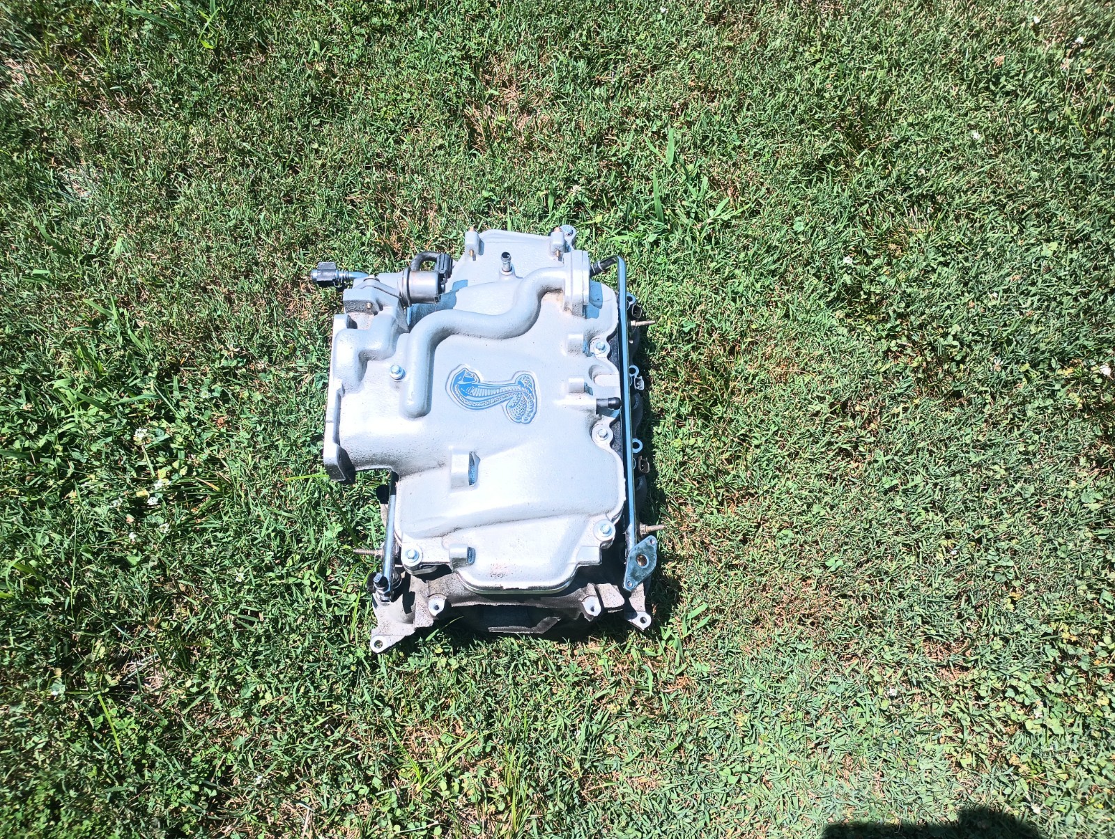 1999 2001 Ford Mustang Cobra Intake Manifold 4.6L 32V 4V DOHC Mach1 SVT 99 01