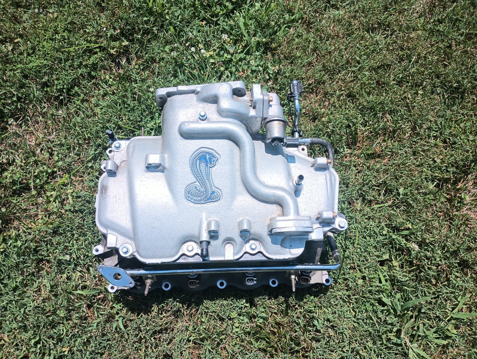 1999 2001 Ford Mustang Cobra Intake Manifold 4.6L 32V 4V DOHC Mach1 SVT 99 01 - Image 4