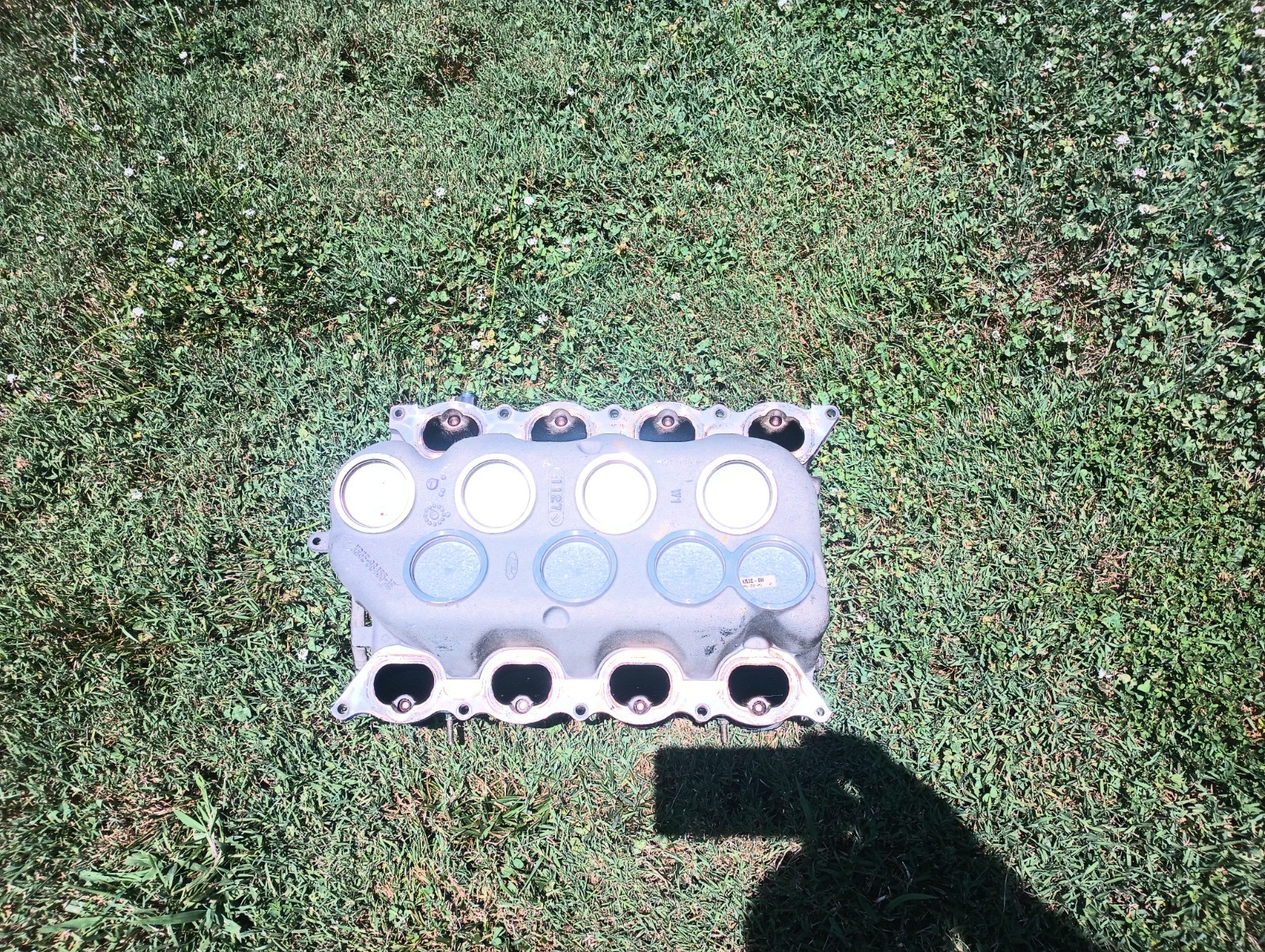 1999 2001 Ford Mustang Cobra Intake Manifold 4.6L 32V 4V DOHC Mach1 SVT 99 01 - Image 7