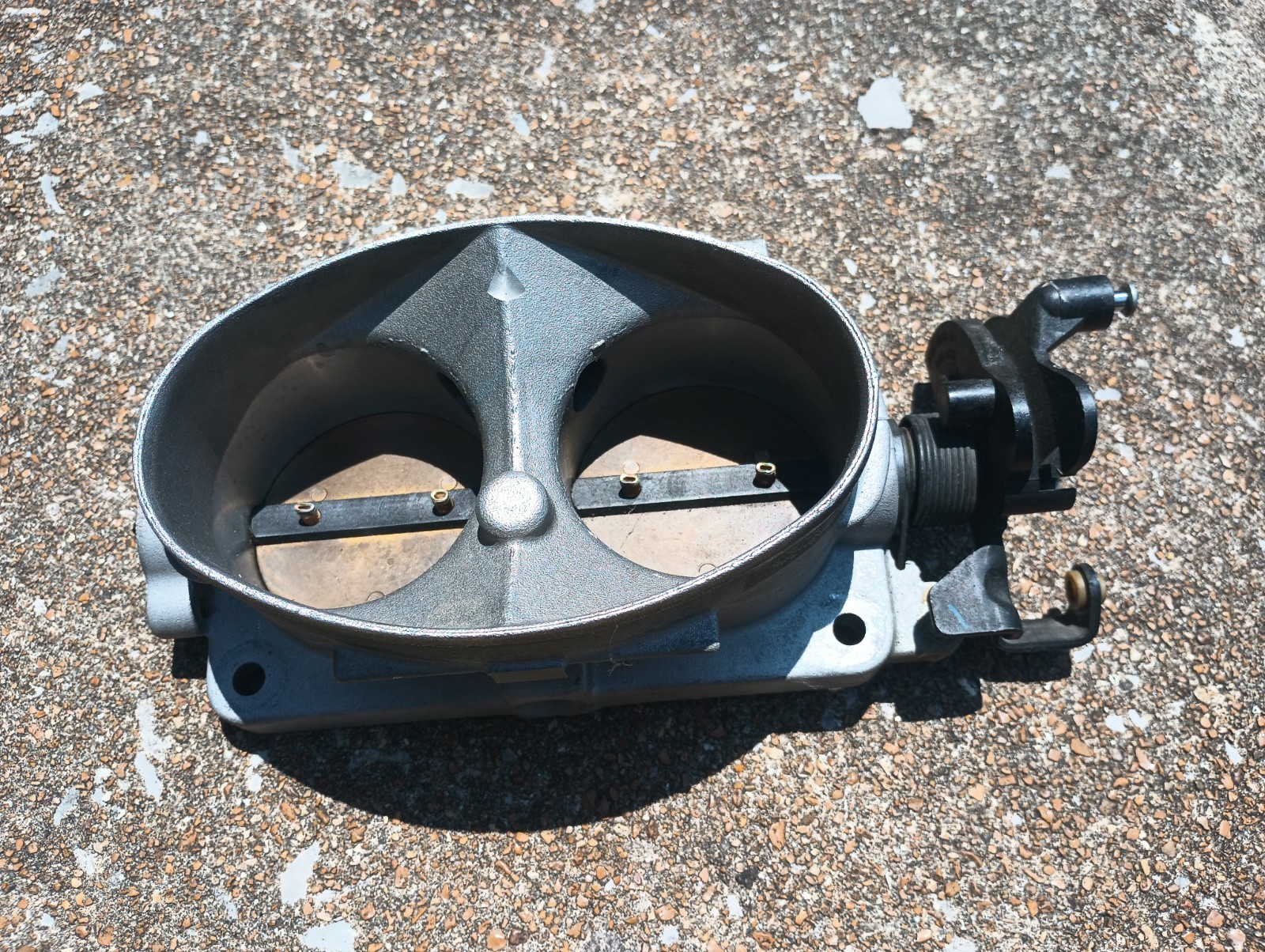 1996-2001 Ford Mustang Cobra Throttle Body 4.6L SVT 2003-2004 Mach1 2001 Bullitt - Image 2