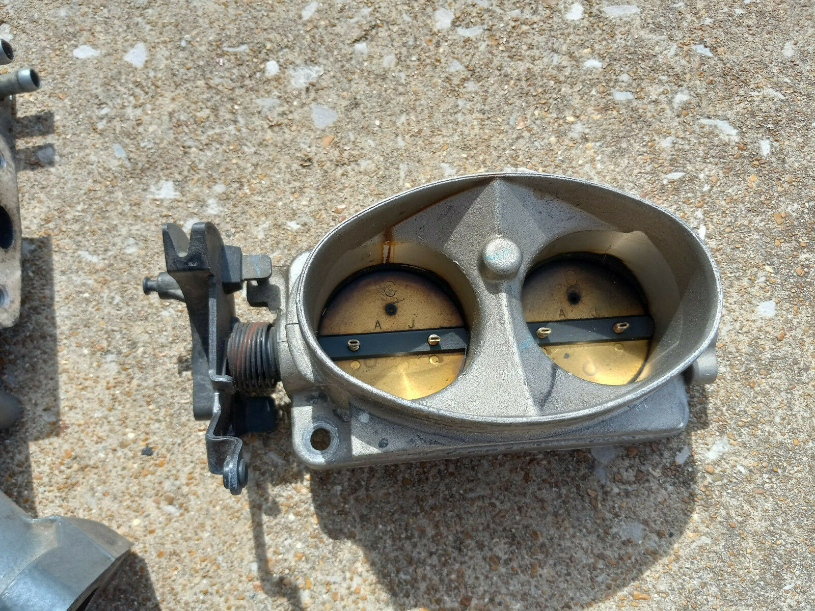 1999-2004 Ford Lightning 5.4L Harley Supercharger Plenum M112 Eaton F150 SVT HD - Image 2